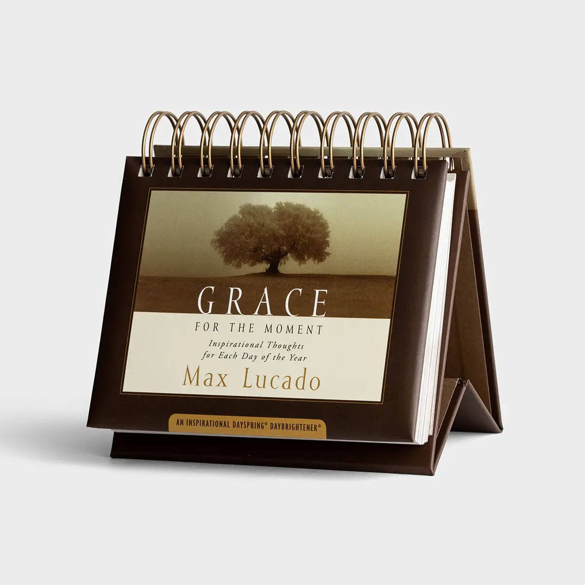 Grace for the Moment Flip-a-Day Calendar