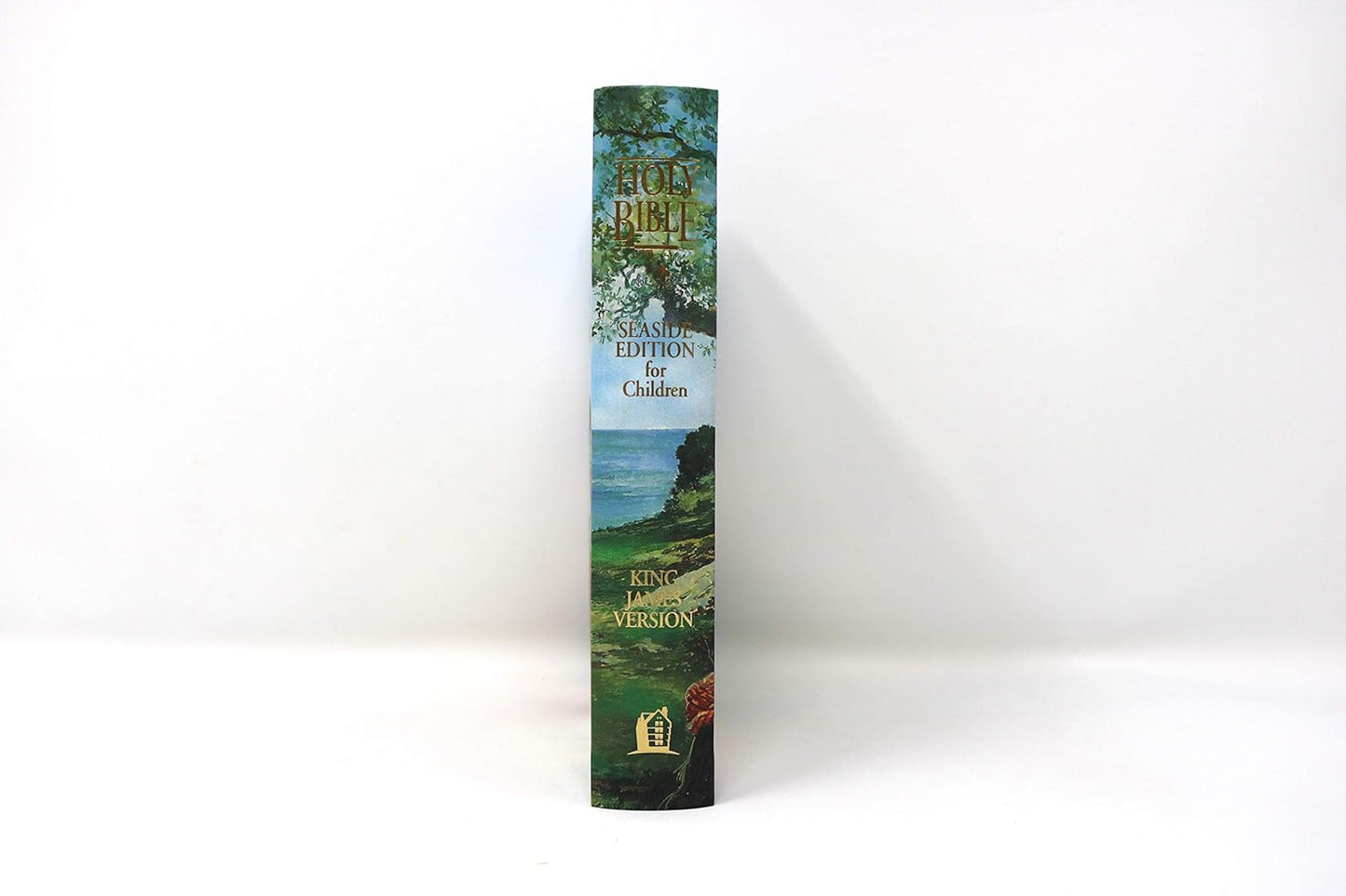KJV Children's Seaside Bible