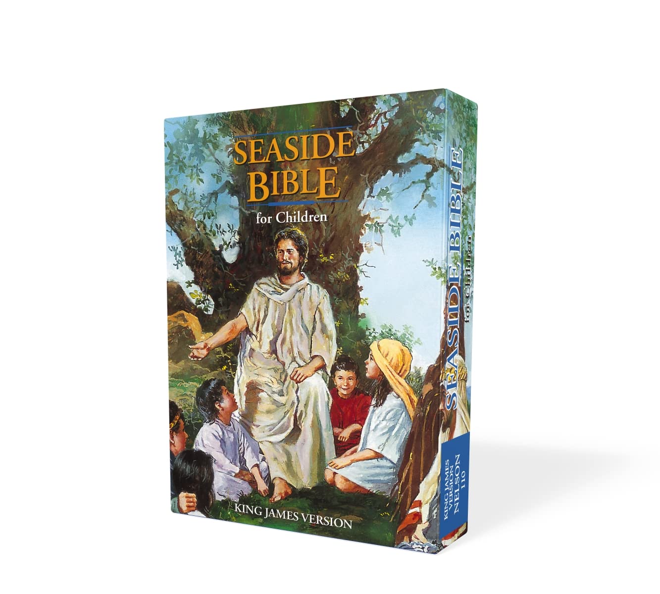KJV Children's Seaside Bible
