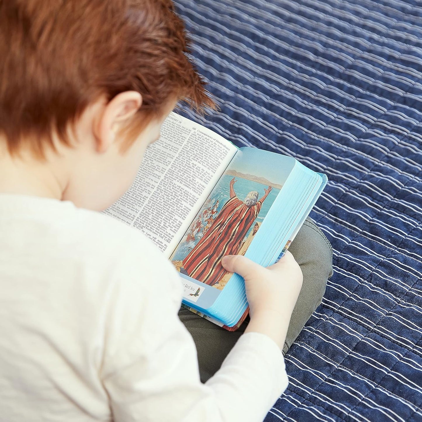 KJV Children's Seaside Bible