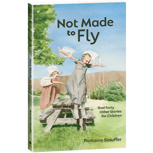 Not Made to Fly