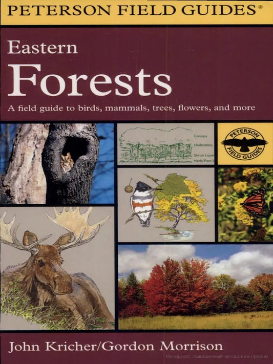 Peterson Eastern Forests