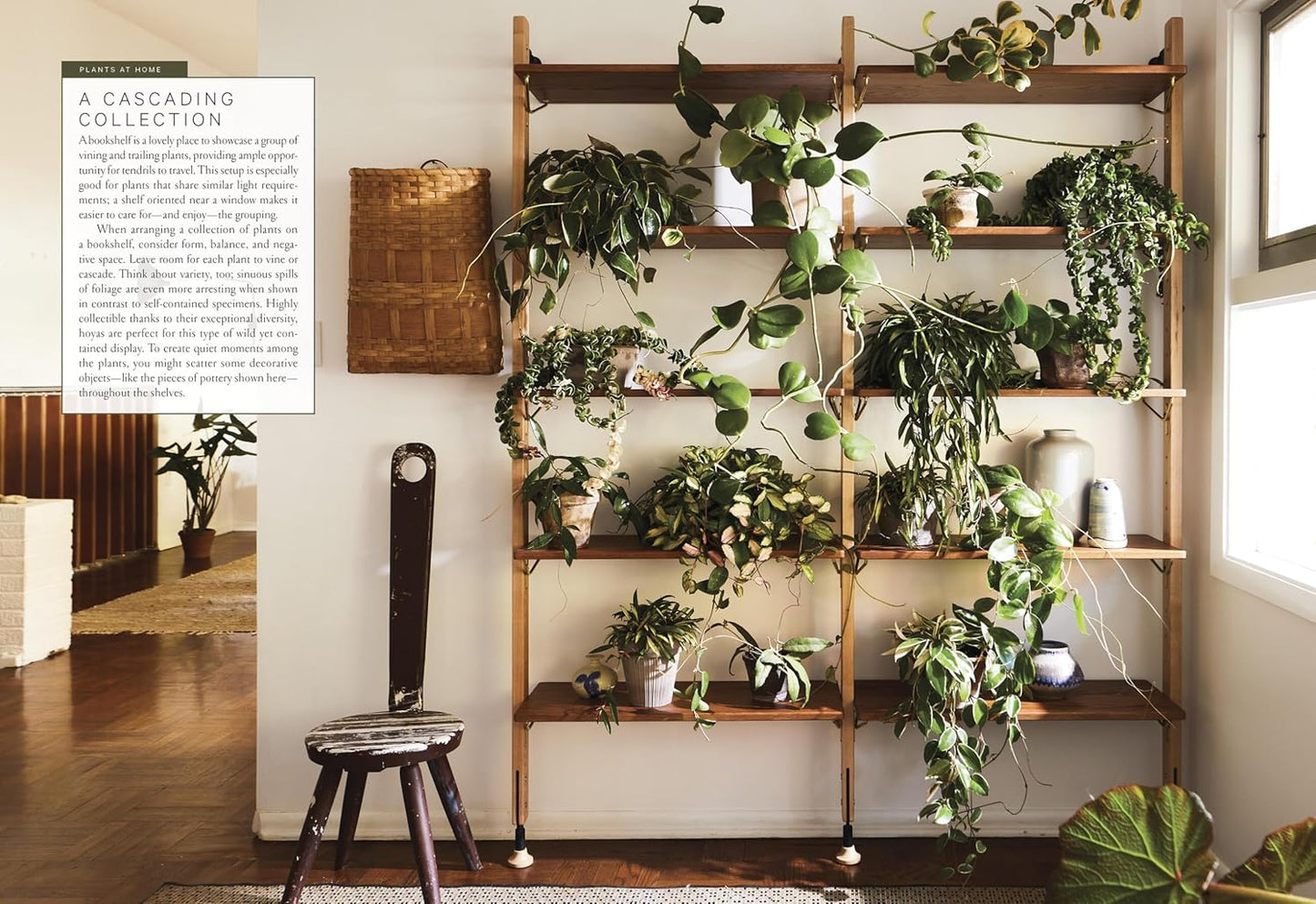 The Houseplant Book