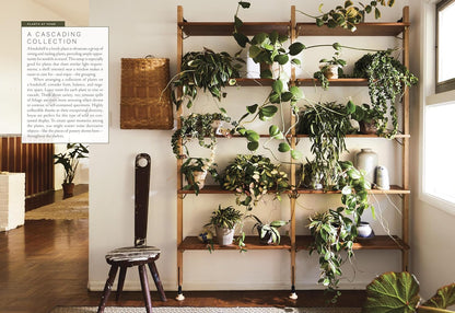 The Houseplant Book