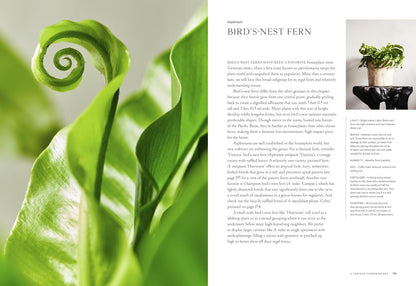 The Houseplant Book