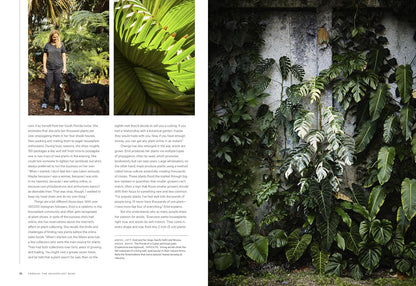 The Houseplant Book