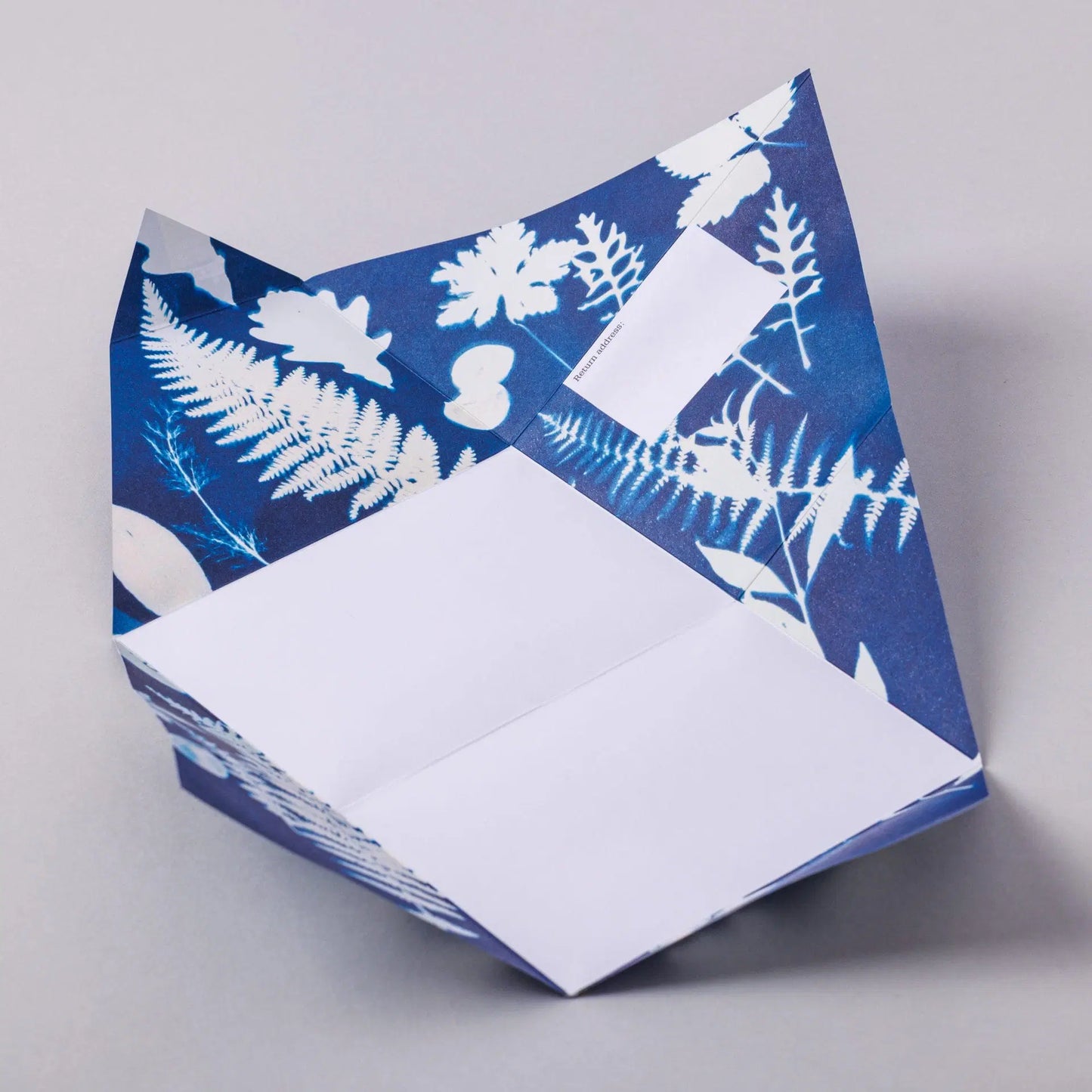 Apothecary Pigeon Cards