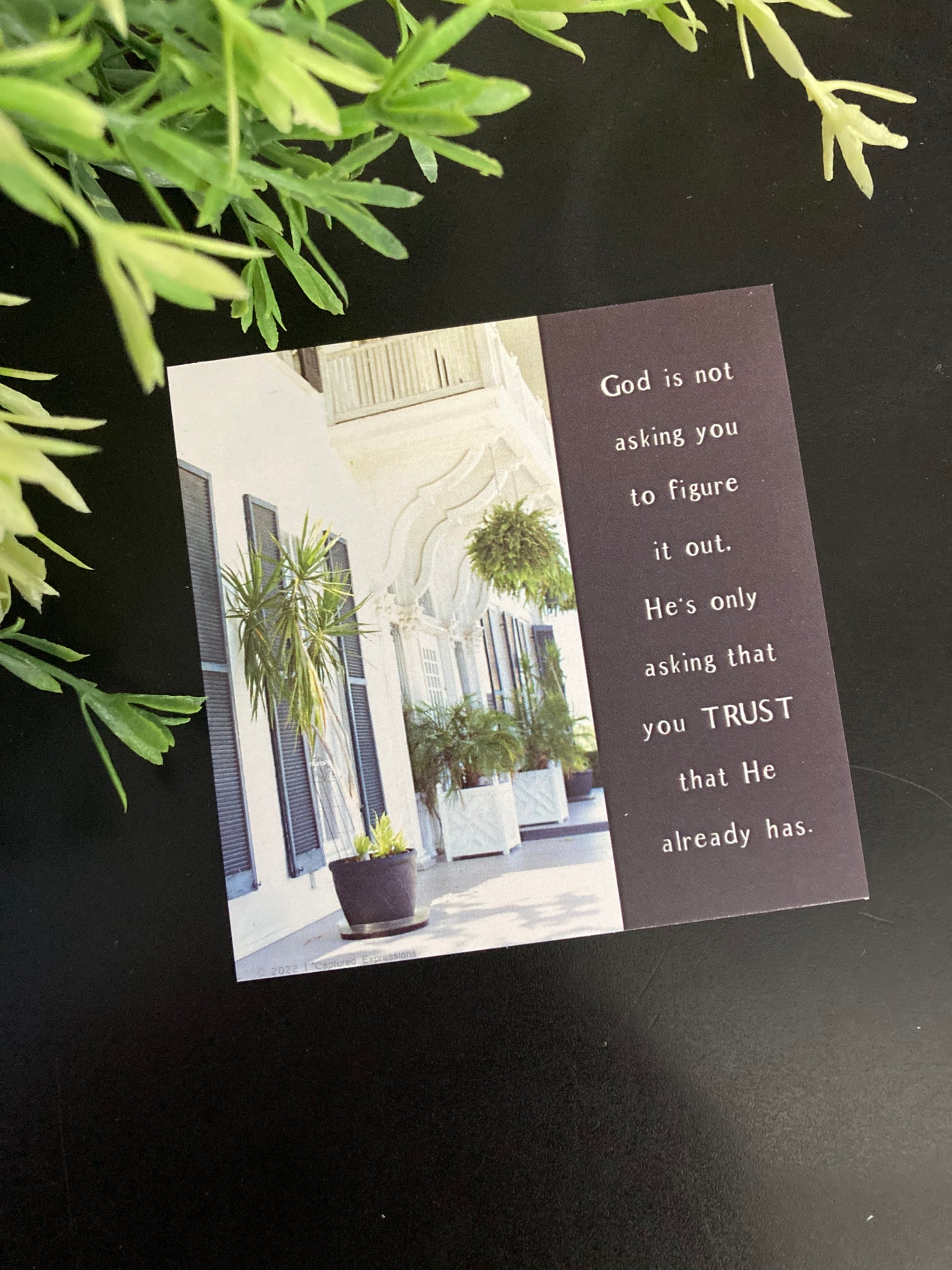 Inspirational Notecards - Divinely Planned (Pack of 8)