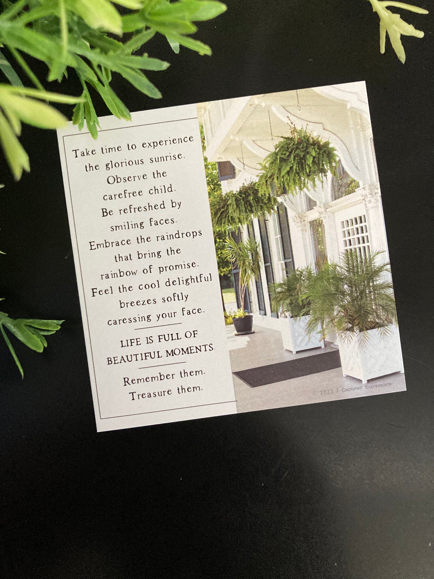 Inspirational Notecards - Divinely Planned (Pack of 8)