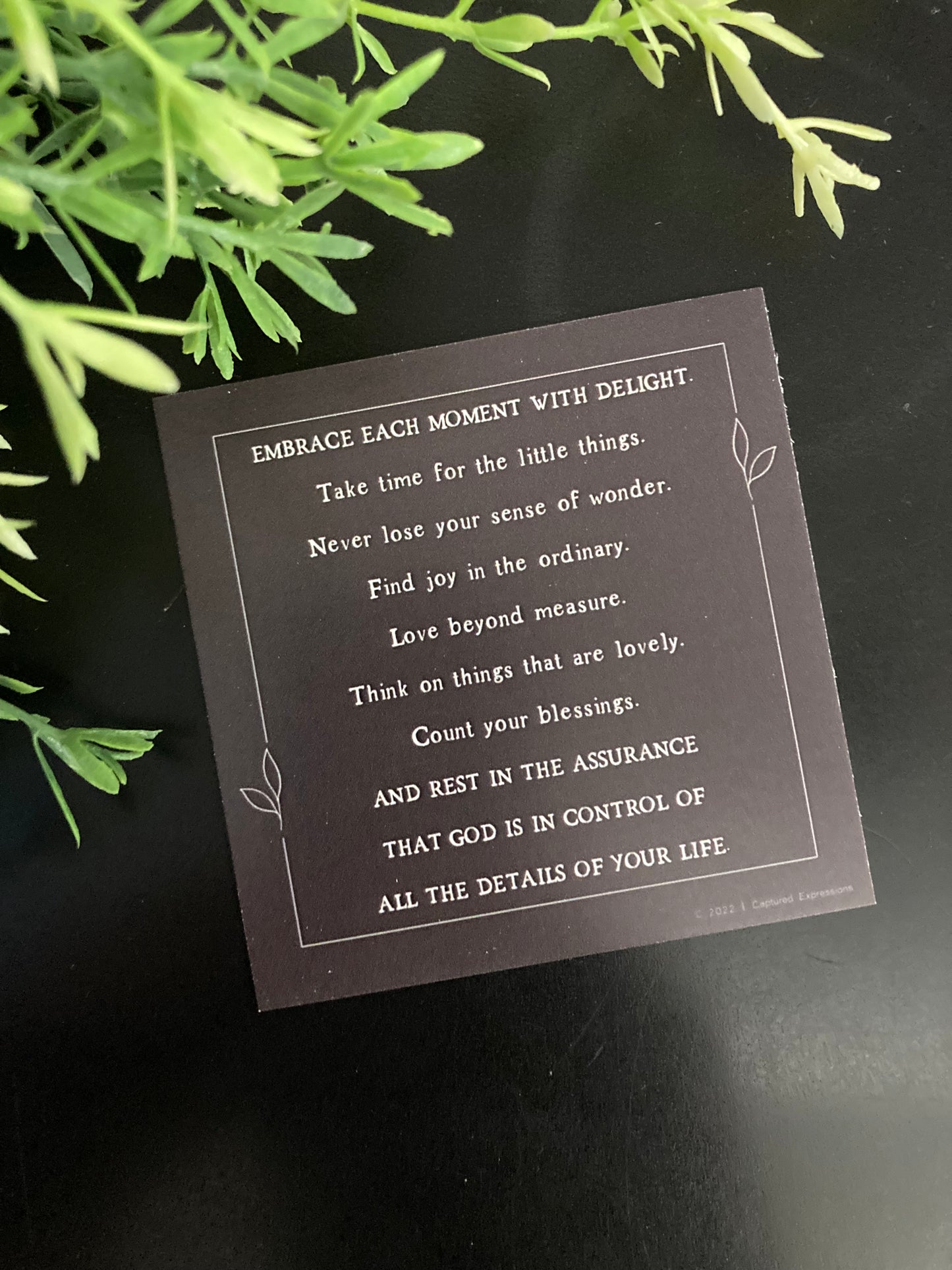 Inspirational Notecards - Divinely Planned (Pack of 8)