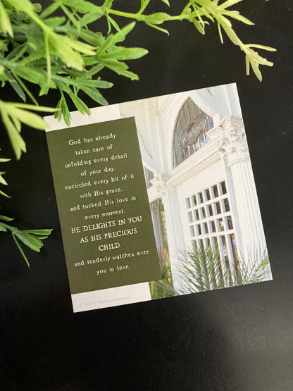 Inspirational Notecards - Divinely Planned (Pack of 8)