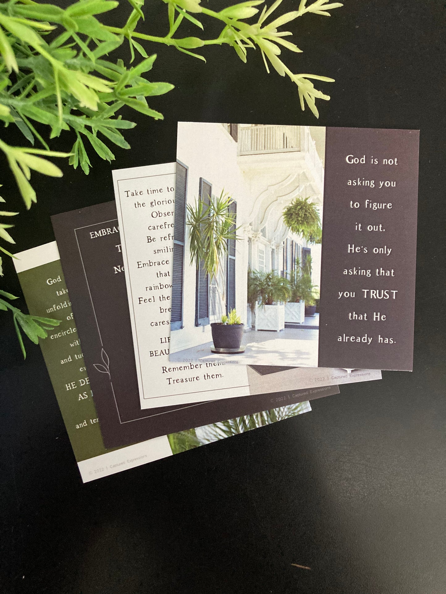 Inspirational Notecards - Divinely Planned (Pack of 8)