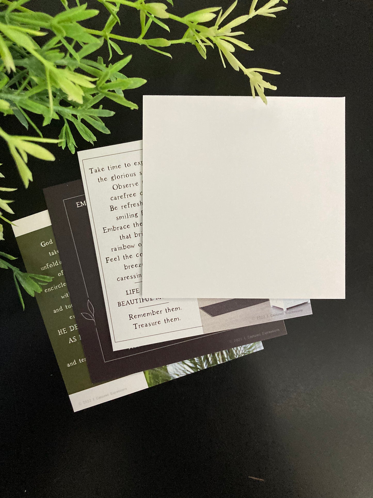 Inspirational Notecards - Divinely Planned (Pack of 8)