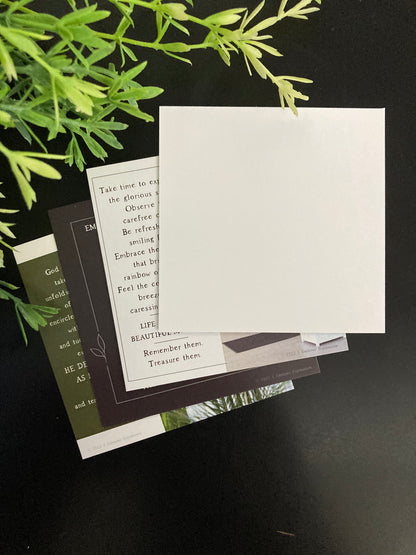 Inspirational Notecards - Divinely Planned (Pack of 8)