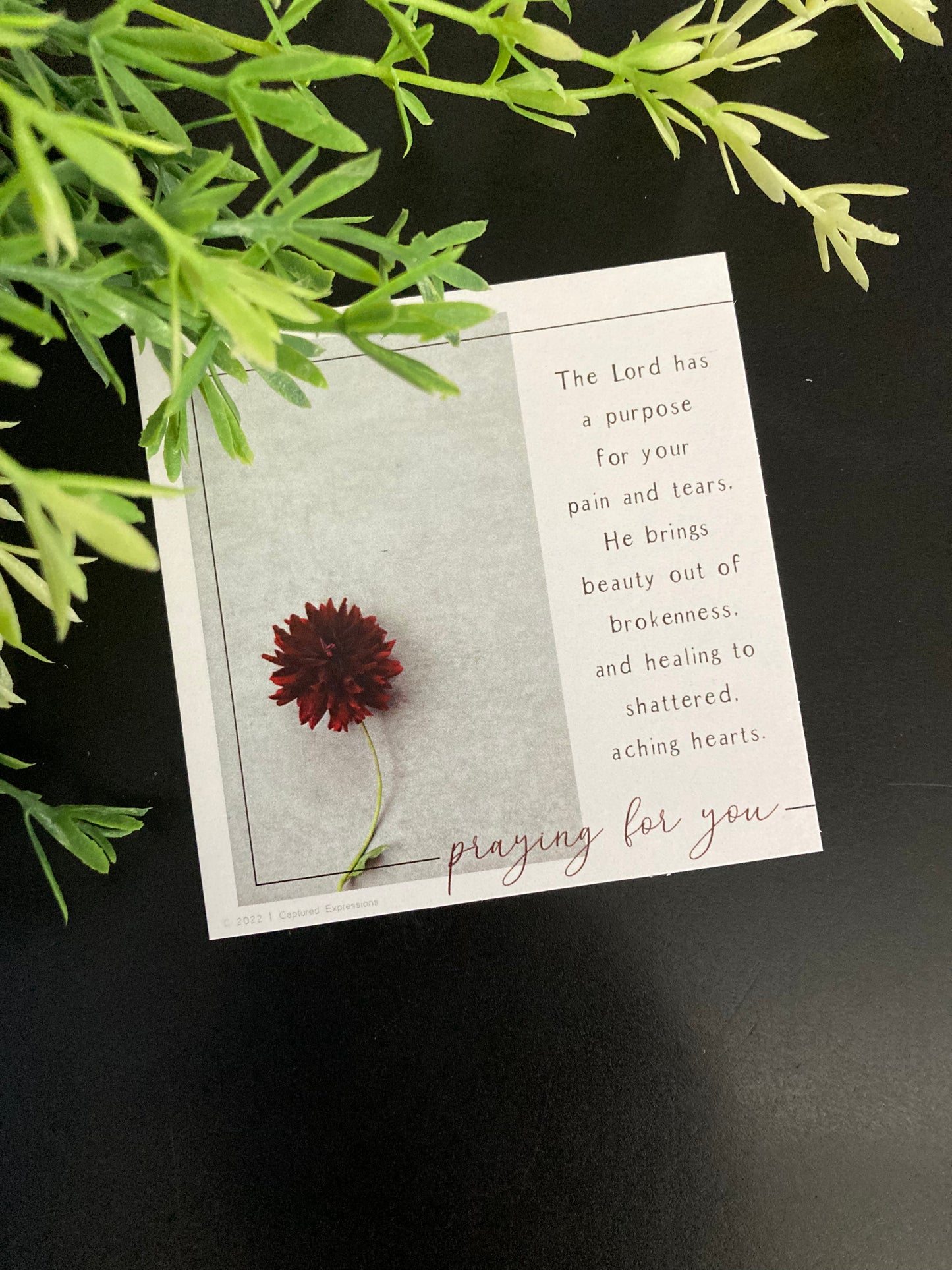 Inspirational Notecards - Reassurance (Pack of 8)