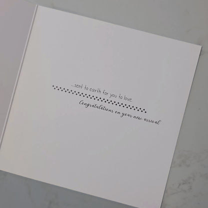 Precious Gift
