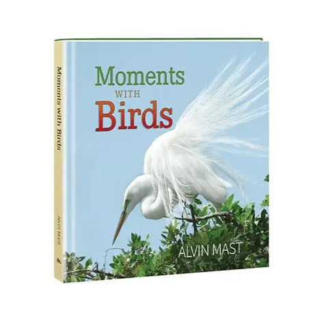 Moments With Birds