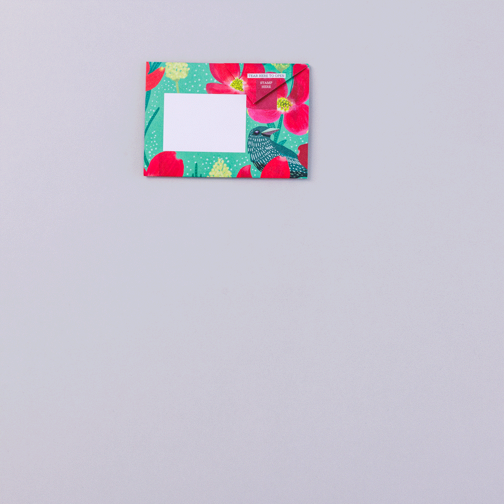 Dusk to Dawn Pigeon Cards