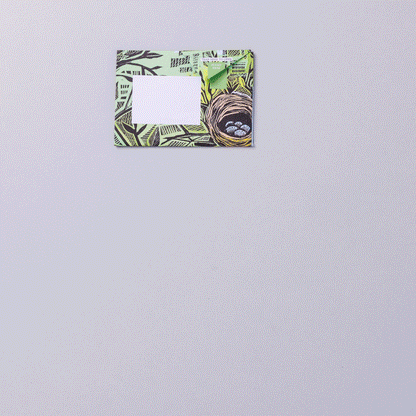 Wonderfully Wild Pigeons