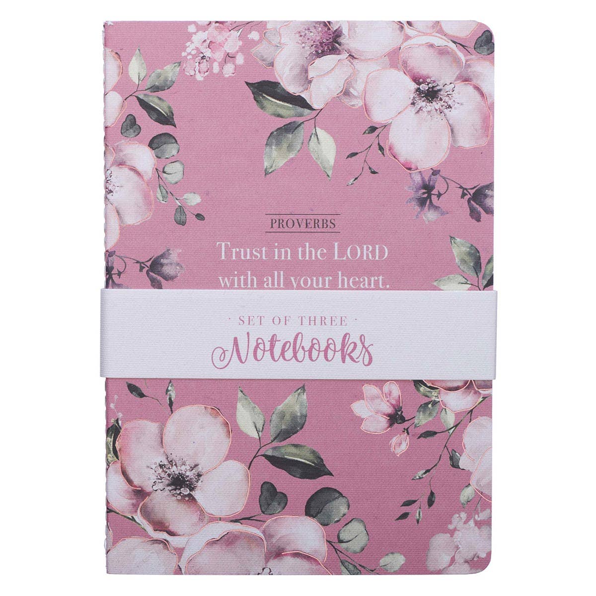 Notebook Set 3pc MD Pink, White Prov. 3:5, Gray