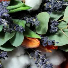 Lavender Fields 8 oz Jar Candle