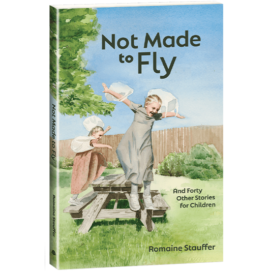 Not Made to Fly